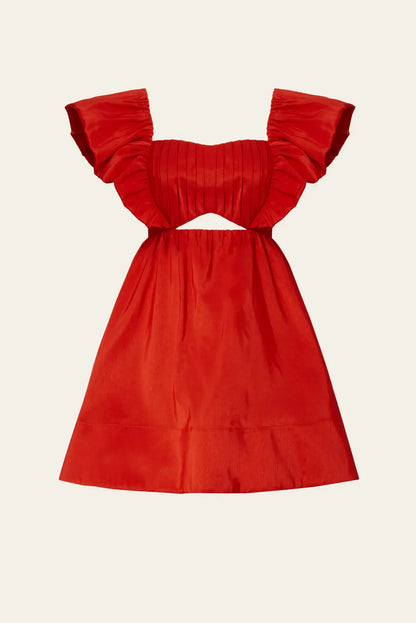 Rosy Red Dress